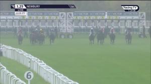 Video preview image for Newbury 13:25 - Hot To Trot Racing For 2023 Novice Stakes (4) (Div 1)