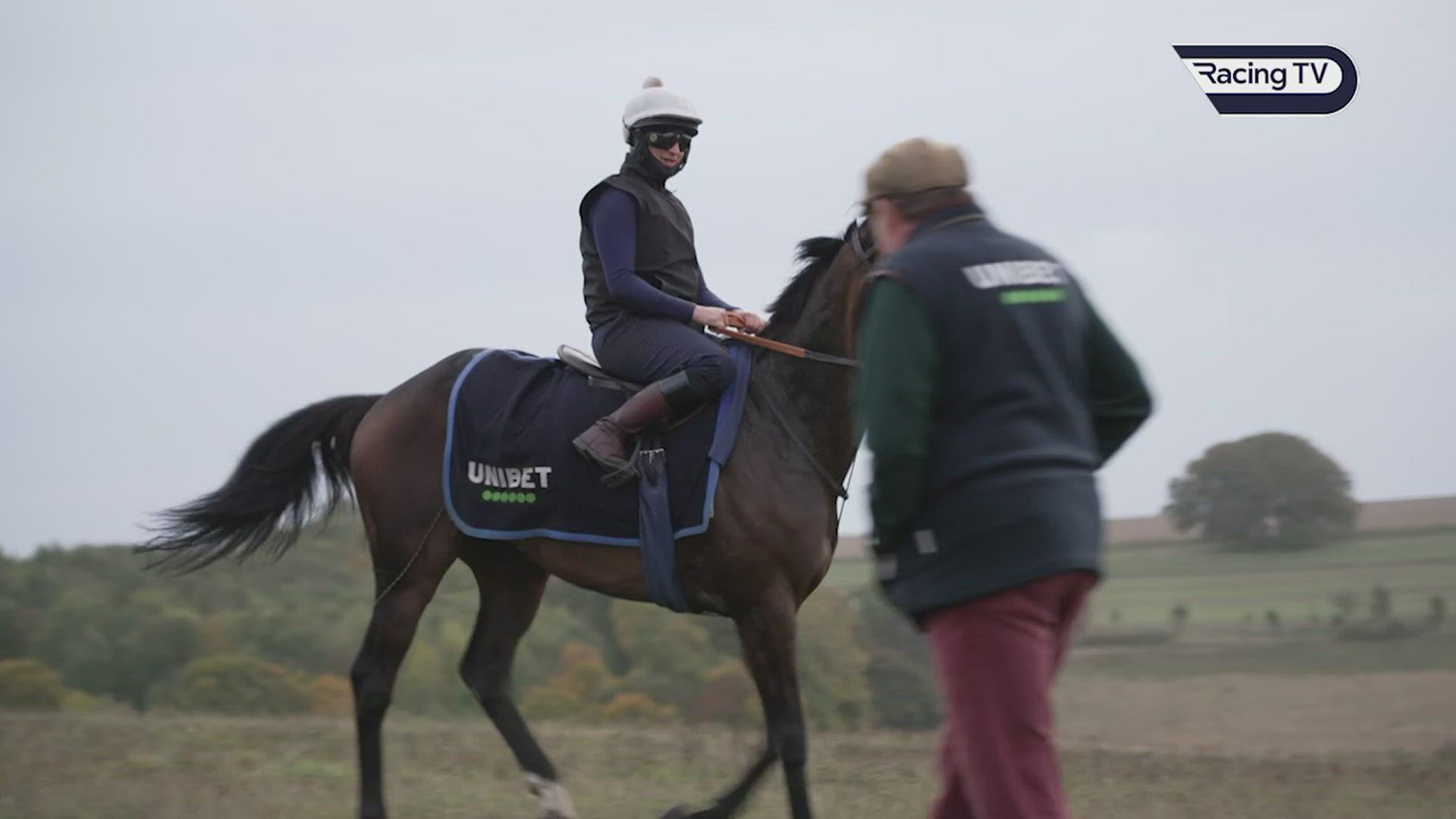 racing post stable tours 2022