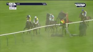 Video preview image for Ayr 13:23 - Marine & Lawn EBF 'National Hunt' Novices' Hurdle (Qualifier) (4)