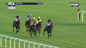 Video preview image for Newbury 14:30 - Csp Mares' Novices' Hurdle (2)