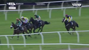 Video preview image for Newbury 15:42 - Watch Last Fan Standing Handicap Chase (3)