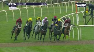 Video preview image for Fakenham 14:22 - racingtv.com/freetrial Mares' Handicap Hurdle (Qualifier) (4)