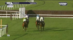 Video preview image for Newbury 13:55 - Coral Racing Club Novices' Chase (Berkshire) (Grade 2) (1)