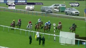Video preview image for Haydock Park 15:07 - Jewson Widnes Veterans' Handicap Chase (Leg 12) (2)