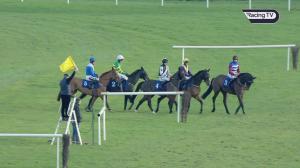 Video preview image for Thurles 13:32 - Equuip From Foal To Race Ty Programme Chase (Thurles) (Listed)