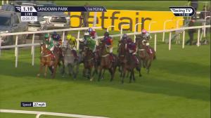 Video preview image for Sandown Park 13:10 - Pinsent Masons Introductory Juvenile Hurdle (2)