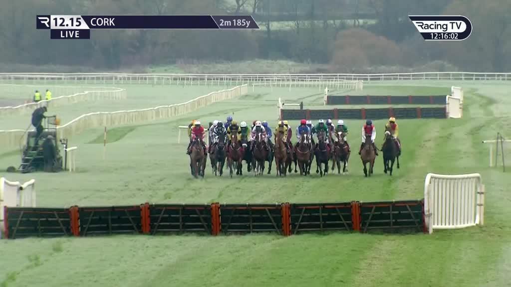 By Your Side Race Record, Statistics & Wins Racing TV