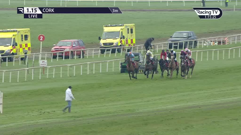 Easy Fella Ire Race Record Statistics Wins Racing TV easy-fella-ire-race-record-statistics-wins-racing-tv
