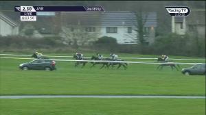 Video preview image for Ayr 14:30 - Coral Racing Club Novices' Hurdle (4)