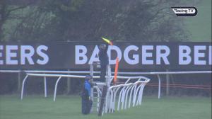 Video preview image for Wincanton 14:38 - Eastbury Hotel Handicap Hurdle (4)
