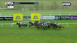 Video preview image for Limerick 14:39 - Grant Thornton Ladies Handicap Hurdle 