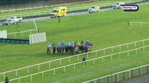 Video preview image for Limerick 14:08 - Mr. Binman Mares Handicap Hurdle 