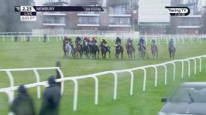Video preview image for Newbury 14:25 - Coral Racing Club Mandarin Handicap Chase (3)