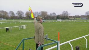 Video preview image for Cheltenham 13:55 - Paddy Power New Year's Day Handicap Chase (Premier Handicap) (1)