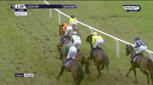 Video preview image for Ludlow 14:30 - Vobe Electrics Juvenile Hurdle (3)