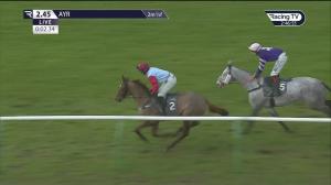 Video preview image for Ayr 14:45 - Racing TV Handicap Chase (Qualifier) (5)