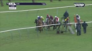 Video preview image for Ayr 15:20 - Watch Live On Racing TV Novices' Handicap Hurdle (5)