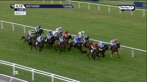 Video preview image for Wetherby 16:15 - Start Your RacingTV Free Trial Now Novices' Handicap Hurdle (5)