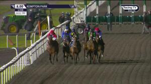 Video preview image for Kempton Park 20:00 - Unibet Extra Place Offers Every Day Fillies' Handicap (5)
