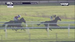 Video preview image for Huntingdon 14:50 - Racing TV Novices' Hurdle (4)