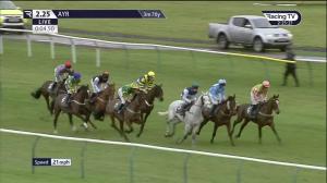 Video preview image for Ayr 14:25 - Follow @racingtv On Twitter Mares' Handicap Hurdle (4)