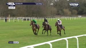 Video preview image for Newbury 13:15 - Best Odds On The Betfair Exchange Novices' Limited Handicap Chase (3)