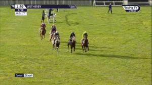 Video preview image for Wetherby 14:40 - Visit Irish Bloodstock Sales With Itm Junior 'National Hunt' Hurdle (4)