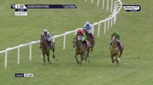 Video preview image for Sandown Park 13:50 - 'Ubique' Handicap Chase (3)