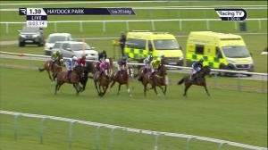 Video preview image for Haydock Park 13:30 - Betfred Victor Ludorum Juvenile Hurdle (Qualifier) (2)