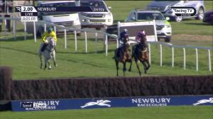 Video preview image for Newbury 14:00 - Stewart Wright Memorial Novices' Handicap Chase (2)