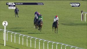 Video preview image for Newbury 14:30 - Bloomfields Horseboxes Presents The Raceline Professional Maiden Hurdle (4)