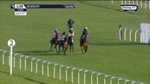 Video preview image for Newbury 15:00 - Bloomfields Horseboxes Presents The Raceline Professional Junior 'National Hunt' Hurdle (4)