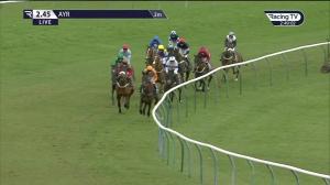 Video preview image for Ayr 14:45 - Virgin Bet Daily Price Boosts Novices' Hurdle (4)