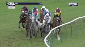 Video preview image for Ayr 17:00 - Virgin Bet National Hunt Flat (Conditional and Amateur Jockeys') (5)