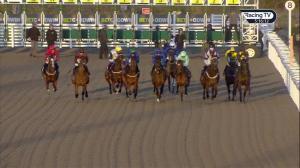 Video preview image for Chelmsford City 17:15 - Fairwood Fillies' Novice Stakes (5)