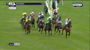 Video preview image for Wetherby 14:40 - racingtv.com Novices' Hurdle (4)