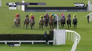 Video preview image for Sandown Park 13:50 - European Breeders' Fund Betfair 'National Hunt' Novices' Handicap Hurdle Final (Premier Handicap) (1)