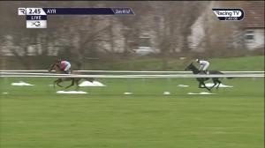 Video preview image for Ayr 14:45 - Virgin Bet Fives Handicap Chase (Qualifier) (4)