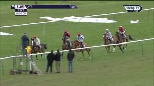 Video preview image for Ayr 17:05 - Virgin Bet Open National Hunt Flat (Qualifier) (5)