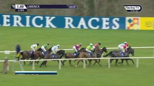 Video preview image for Limerick 13:40 - Irish Stallion Farms EBF Maiden Hurdle 