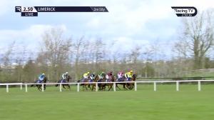 Video preview image for Limerick 14:50 - Adare Manor Opportunity Handicap Hurdle 