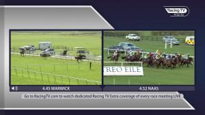 Video preview image for Naas 16:52 - Naas Racecourse Handicap Hurdle