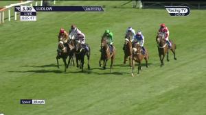 Video preview image for Ludlow 15:00 - Boyne Cup (Handicap Chase) (3)