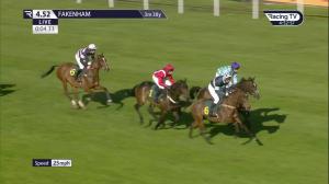 Video preview image for Fakenham 16:52 - Queen's Cup Open Hunters' Chase (4)