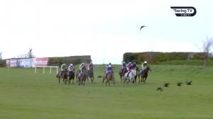 Video preview image for Fairyhouse 17:40 - thebeautybasket.ie Handicap Chase 