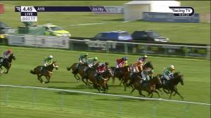 Video preview image for Ayr 16:45 - Thistle Cabs Group Handicap Hurdle (3)