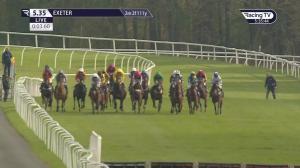 Video preview image for Exeter 17:35 - Start Bay Inn Torcross Novices' Handicap Hurdle (5)