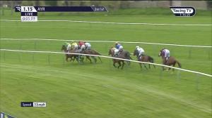Video preview image for Ayr 13:15 - Scotty Brand Handicap Chase (Premier Handicap) (1)