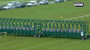 Video preview image for Limerick 17:30 - 24th Of June Ladies Day At Limerick Handicap 