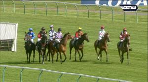 Video preview image for Ayr 15:35 - Coral Racing Club Seafield Trophy Mares' Handicap Hurdle (2)
